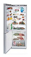 характеристики, Фото Холодильник Gaggenau RB 272-250