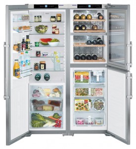 katangian, larawan Refrigerator Liebherr SBSes 7155