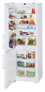 katangian, larawan Refrigerator Liebherr CN 3513
