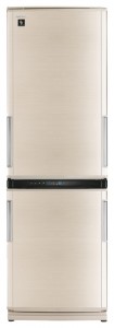 характеристики, Фото Холодильник Sharp SJ-WP320TBE