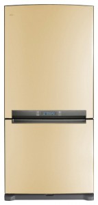 χαρακτηριστικά, φωτογραφία Ψυγείο Samsung RL-62 ZBVB