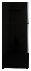 katangian, larawan Refrigerator Hitachi R-T310EU1PBK