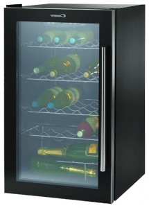 katangian, larawan Refrigerator Candy CCV 160 GL