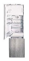 χαρακτηριστικά, φωτογραφία Ψυγείο Gaggenau IC 200-130