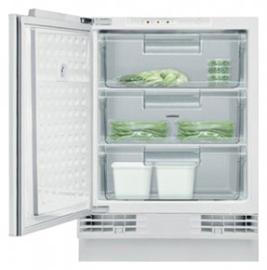 katangian, larawan Refrigerator Gaggenau RF 200-200