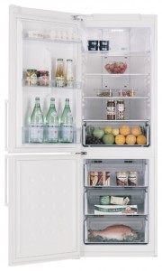 đặc điểm, ảnh Tủ lạnh Samsung RL-40 HGSW