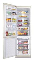 đặc điểm, ảnh Tủ lạnh Samsung RL-52 VEBVB