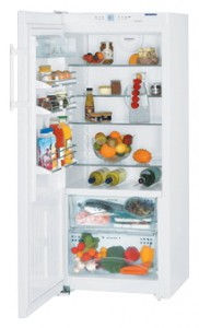 katangian, larawan Refrigerator Liebherr KB 3160