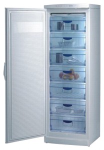 katangian, larawan Refrigerator Gorenje F 6313