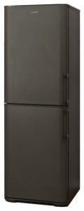 katangian, larawan Refrigerator Бирюса W125 KLSS