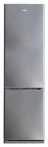 χαρακτηριστικά, φωτογραφία Ψυγείο Samsung RL-41 SBPS