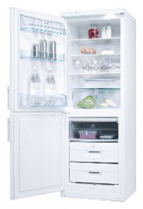 katangian, larawan Refrigerator Electrolux ERB 31099 W