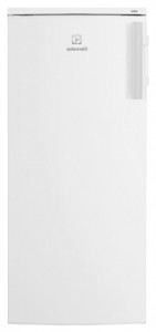 đặc điểm, ảnh Tủ lạnh Electrolux ERF 2504 AOW