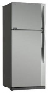 ลักษณะเฉพาะ, รูปถ่าย ตู้เย็น Toshiba GR-RG70UD-L (GS)