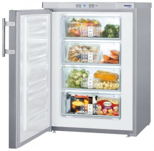 характеристики, Фото Холодильник Liebherr GPesf 1476