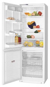 katangian, larawan Refrigerator ATLANT ХМ 6019-027