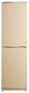 katangian, larawan Refrigerator ATLANT ХМ 6025-081