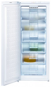 đặc điểm, ảnh Tủ lạnh BEKO FSA 21000