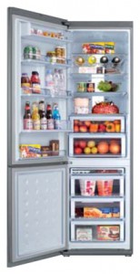 katangian, larawan Refrigerator Samsung RL-55 VQBRS