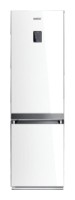 χαρακτηριστικά, φωτογραφία Ψυγείο Samsung RL-55 VTE1L