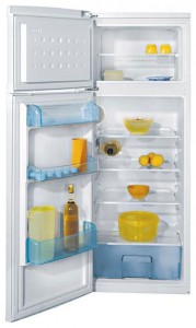katangian, larawan Refrigerator BEKO DSA 25010