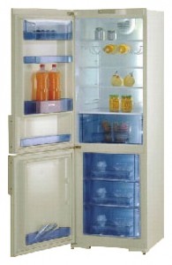 đặc điểm, ảnh Tủ lạnh Gorenje RK 61341 C