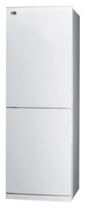 ลักษณะเฉพาะ, รูปถ่าย ตู้เย็น LG GA-B379 PVCA