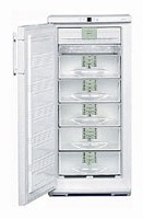 katangian, larawan Refrigerator Liebherr GN 2413