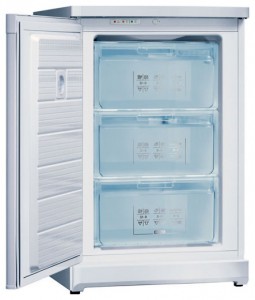 ลักษณะเฉพาะ, รูปถ่าย ตู้เย็น Bosch GSD11V20