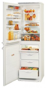 đặc điểm, ảnh Tủ lạnh ATLANT МХМ 1805-01