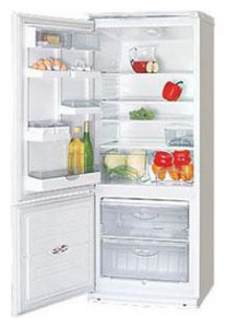 katangian, larawan Refrigerator ATLANT ХМ 4009-013