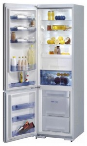 katangian, larawan Refrigerator Gorenje RK 67365 SB