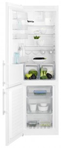 đặc điểm, ảnh Tủ lạnh Electrolux EN 3852 JOW