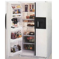 Characteristics, Photo Fridge General Electric TFG28PFBB