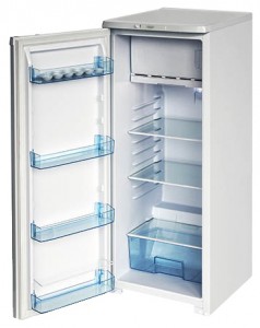 katangian, larawan Refrigerator Бирюса R110CA