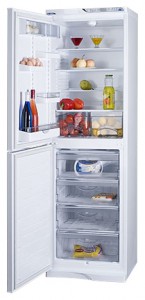 katangian, larawan Refrigerator ATLANT МХМ 1848-63