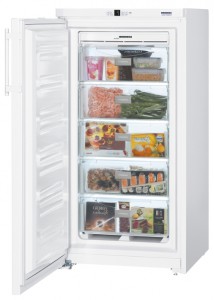 katangian, larawan Refrigerator Liebherr GNP 2613