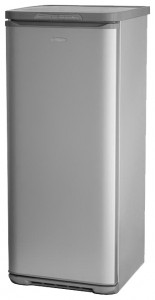 özellikleri, fotoğraf Buzdolabı Бирюса M146