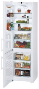 katangian, larawan Refrigerator Liebherr CBN 3913