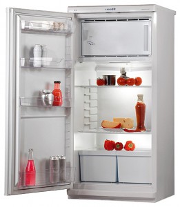 đặc điểm, ảnh Tủ lạnh Pozis Свияга 404-1