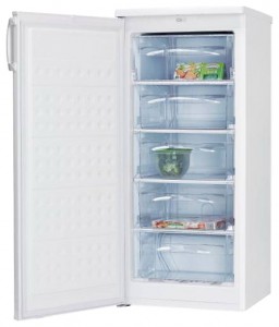 katangian, larawan Refrigerator Hansa FZ206.3