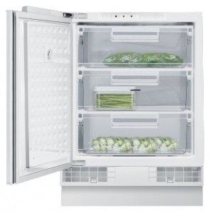 ลักษณะเฉพาะ, รูปถ่าย ตู้เย็น Gaggenau RF 200-202