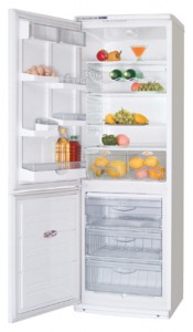 katangian, larawan Refrigerator ATLANT ХМ 5091-016