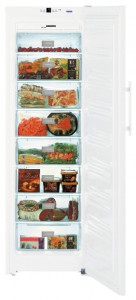katangian, larawan Refrigerator Liebherr SGN 3063