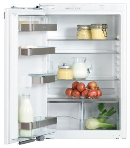 đặc điểm, ảnh Tủ lạnh Miele K 9252 i