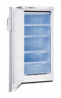 özellikleri, fotoğraf Buzdolabı Bosch GSE22421
