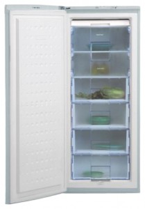 đặc điểm, ảnh Tủ lạnh BEKO FSA 21320
