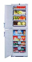 katangian, larawan Refrigerator Liebherr BGND 2986