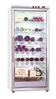 đặc điểm, ảnh Tủ lạnh Gaggenau SK 211-141