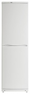 katangian, larawan Refrigerator ATLANT ХМ 6023-000